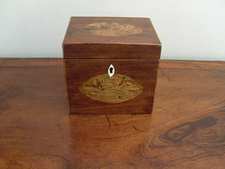 A Regency single tea caddy